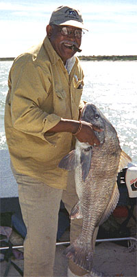 Black Drum